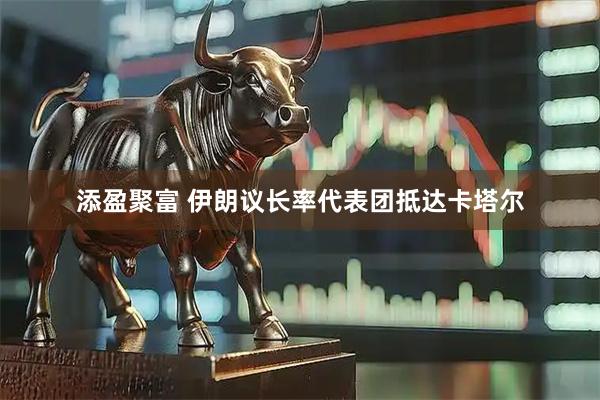 添盈聚富 伊朗议长率代表团抵达卡塔尔