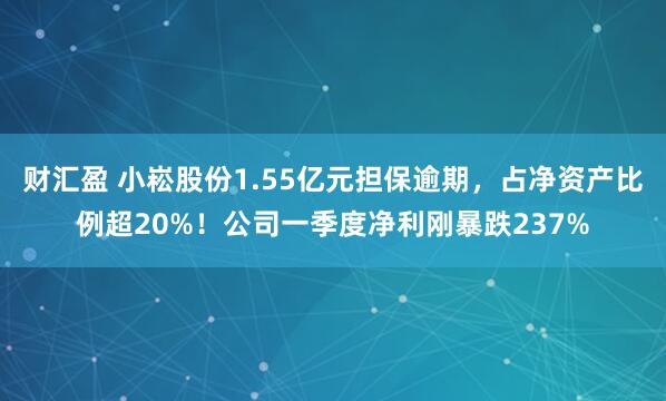 财汇盈 小崧股份1.55亿元担保逾期,占净资产比例超20%!公司一季度净利刚暴跌237%