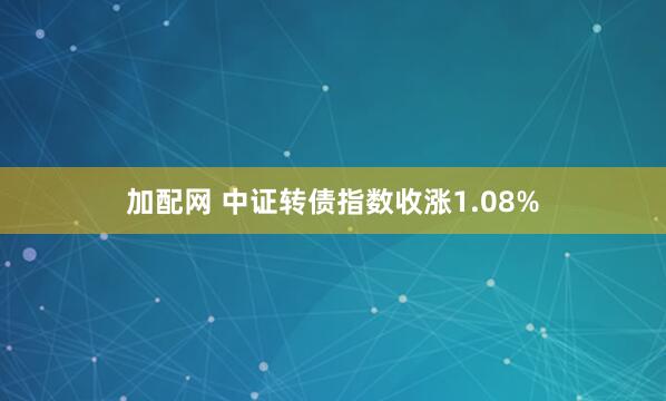 加配网 中证转债指数收涨1.08%
